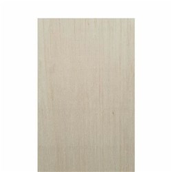 BA1171744673631