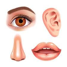 Eyes, Noses & Mouths7213